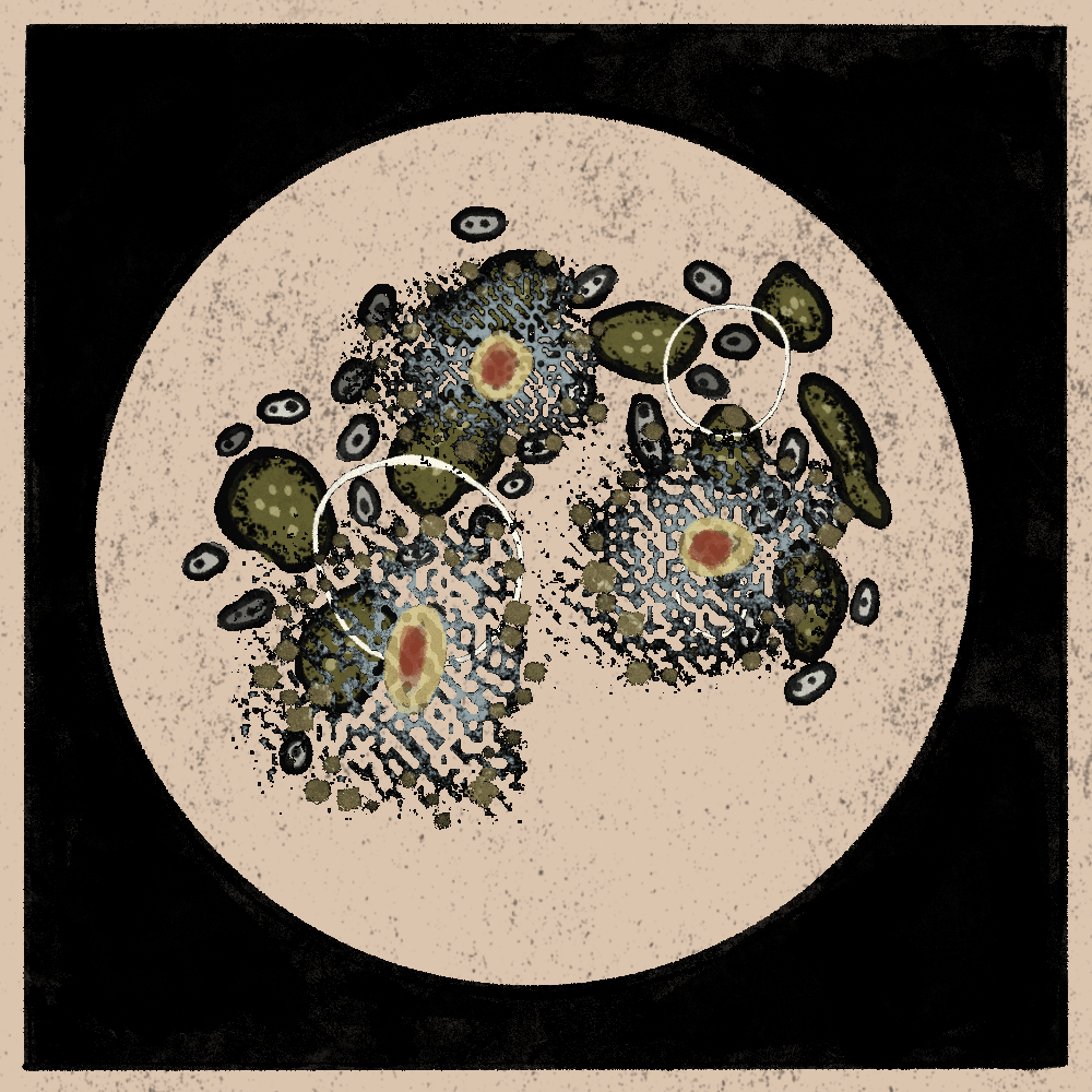 Microbes #8 static token preview