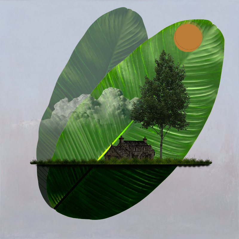 Live in Nature #2 static token preview