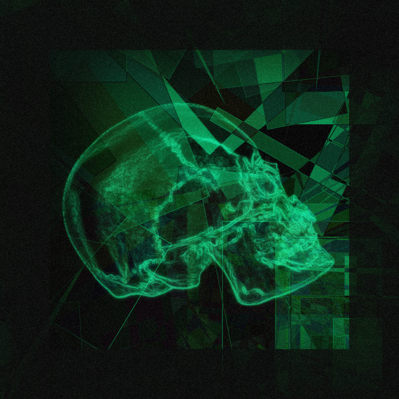 X-ray of a skull #9 static token preview