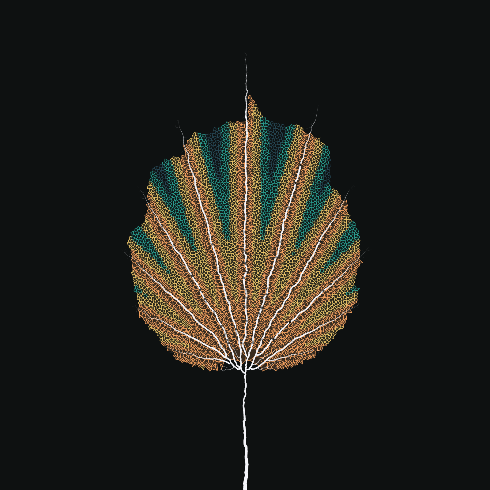 Leaf study #19 static token preview