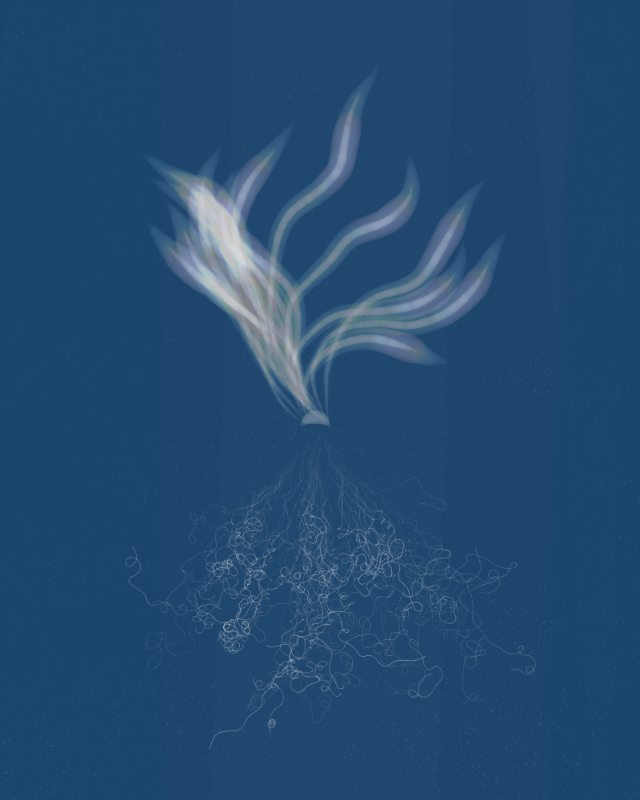 Cyanotypes #1 static token preview