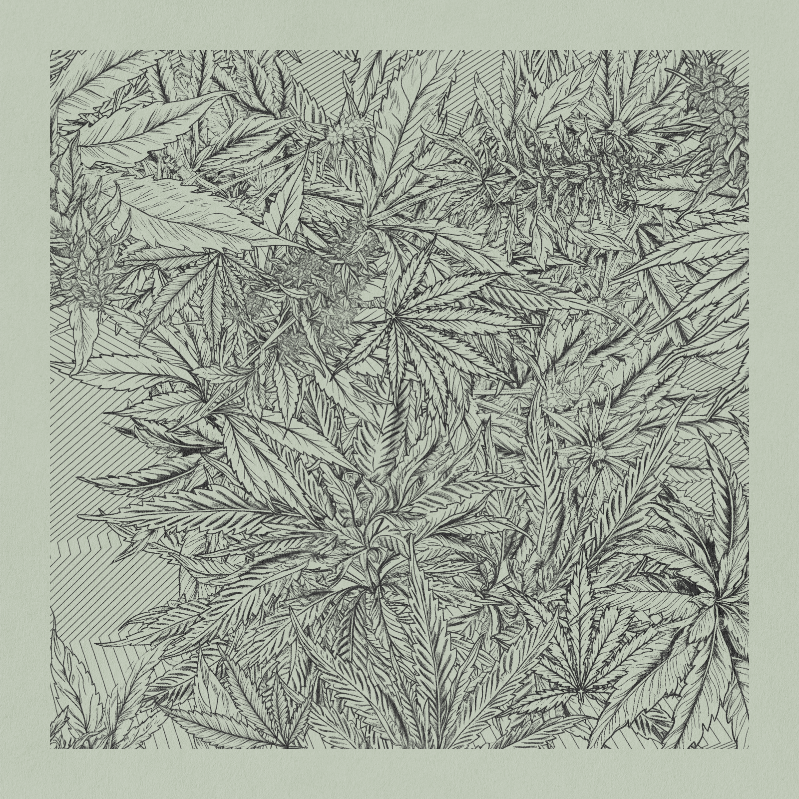 zancannabis #19 static token preview