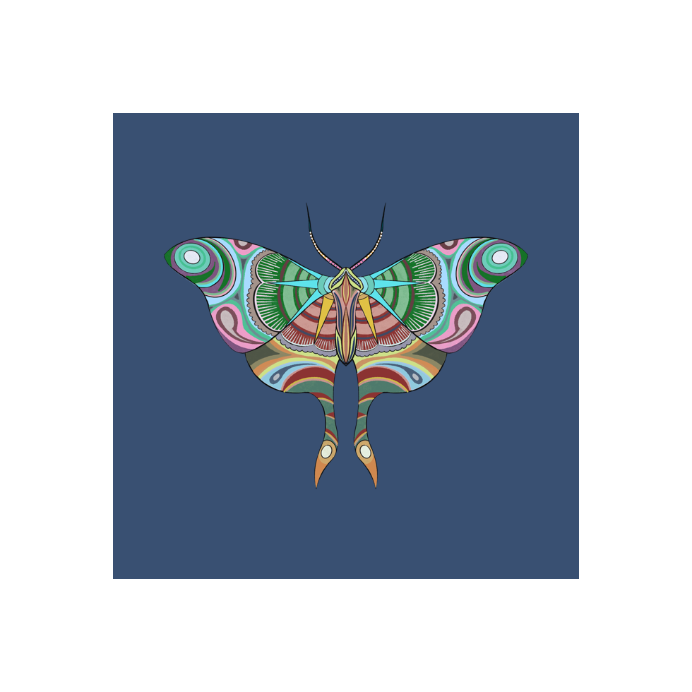 The Moth Experiment #8 static token preview