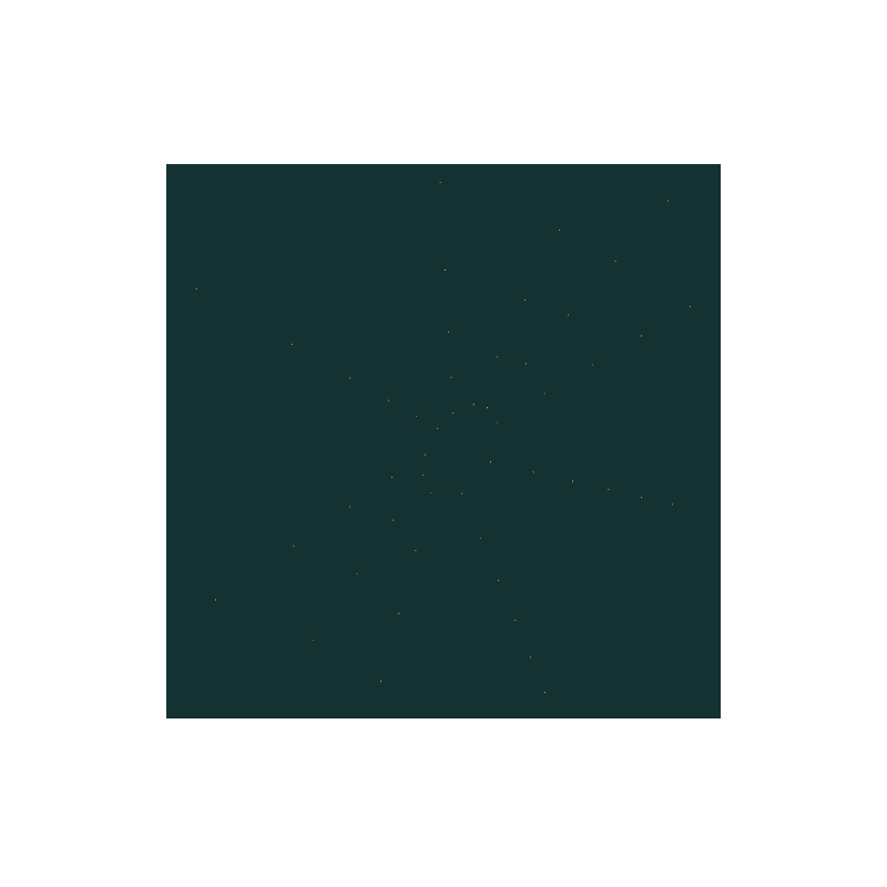Anion #10 static token preview
