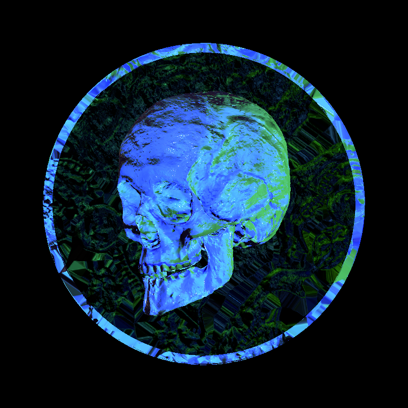 skull 💀 token #19 static token preview