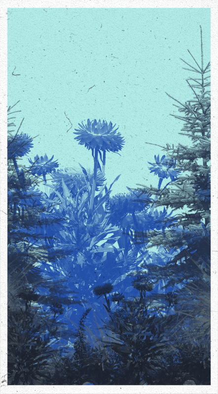 Life in the forest! #14 static token preview