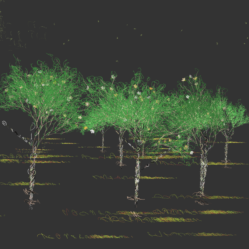 Black winter forest #3 static token preview