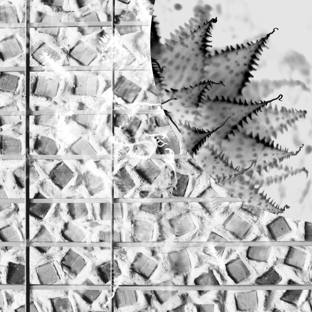 Subjective photography #1 #20 static token preview