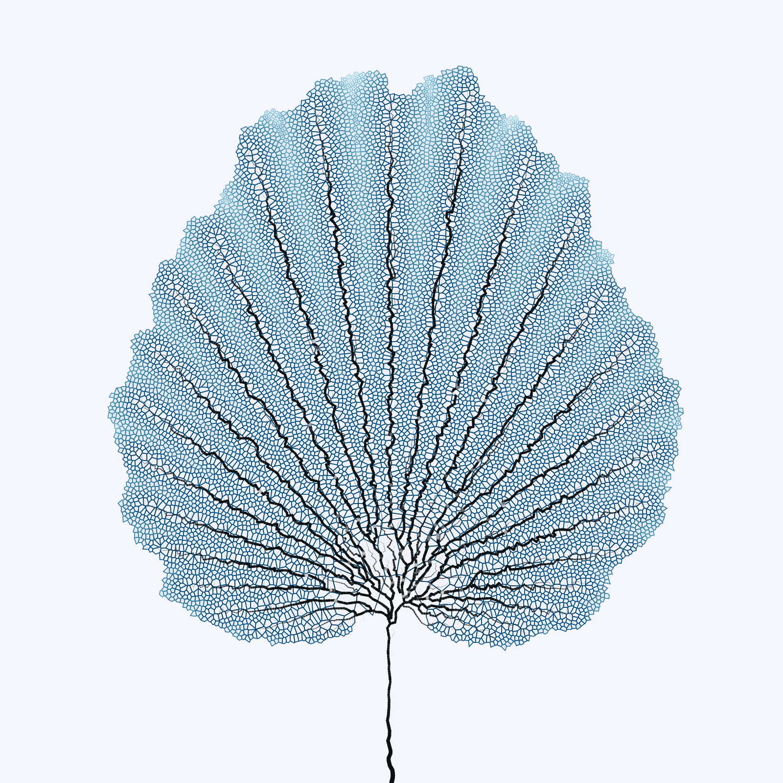 Leaf study #7 static token preview