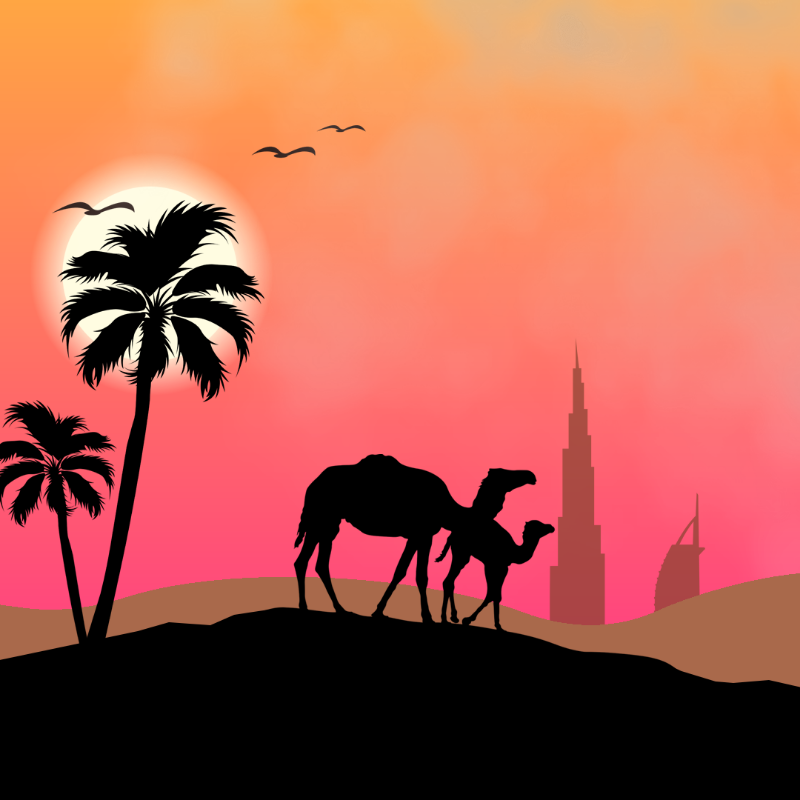 We Care...Camel #1 static token preview