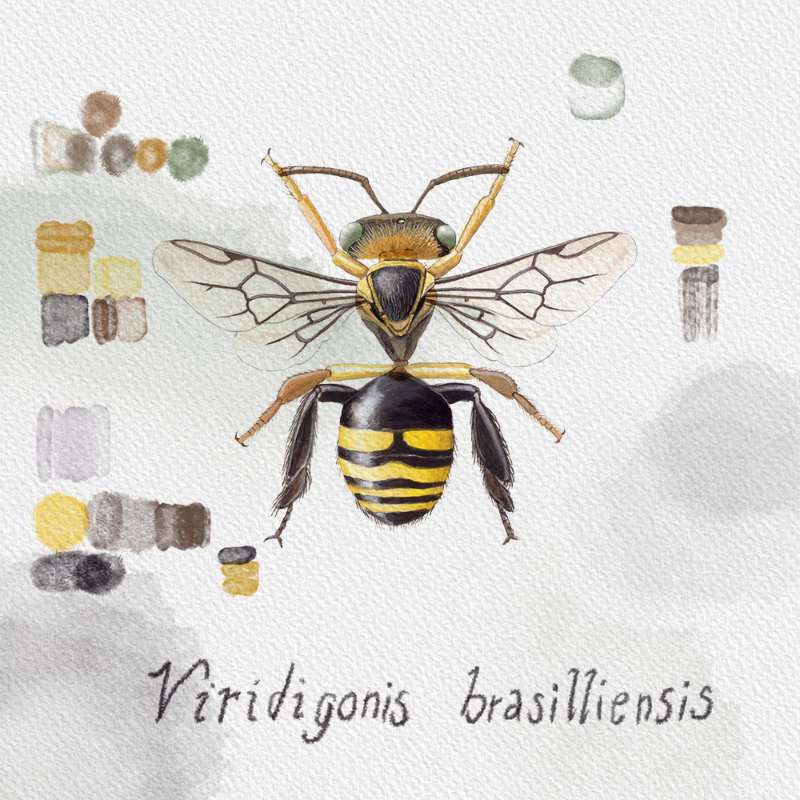 Randomic Brazilian Bees #16 static token preview