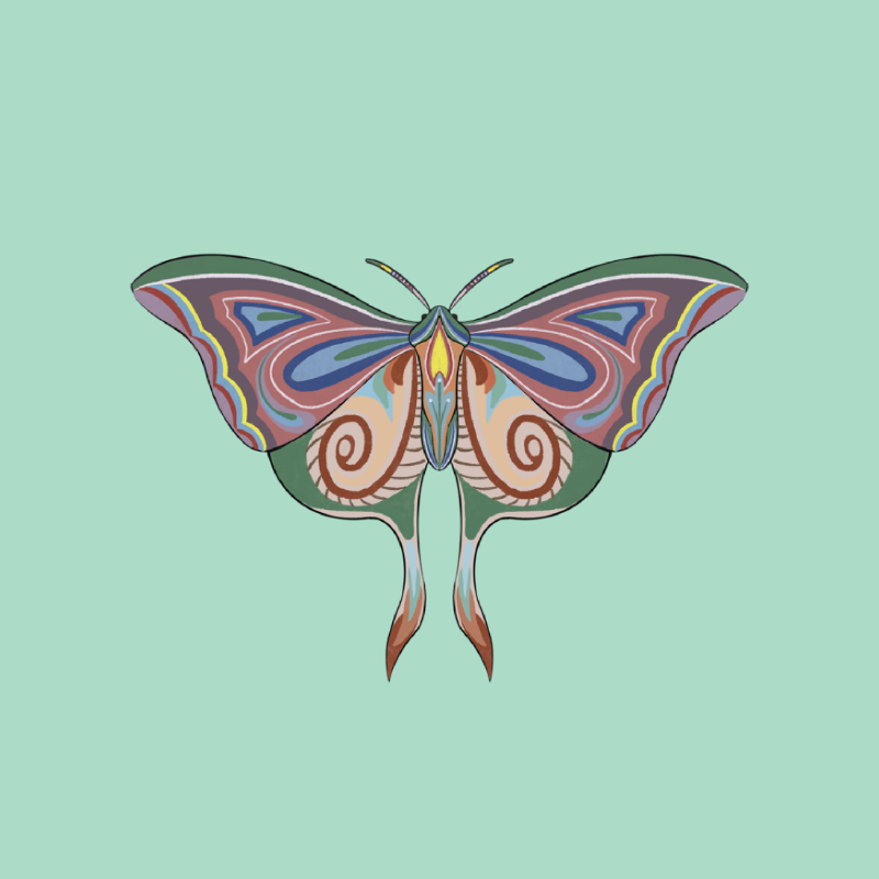 The Moth Experiment 2.0 P1 #16 static token preview