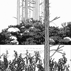 Swedish Forest project preview