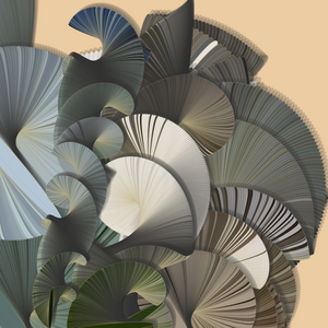 Seashells project preview