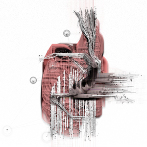 Crece project preview