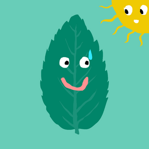 FREE MINT ! project preview