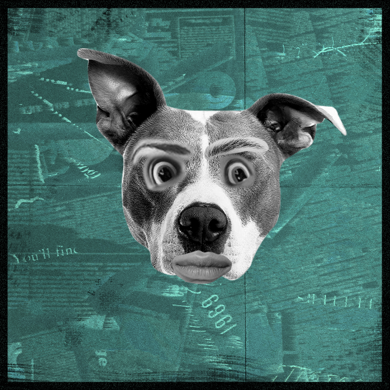 Doggenstein #15 static token preview