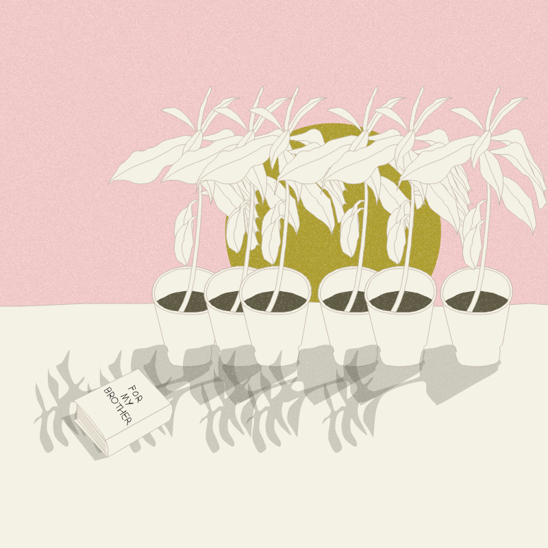 Still Life #12 #22 static token preview