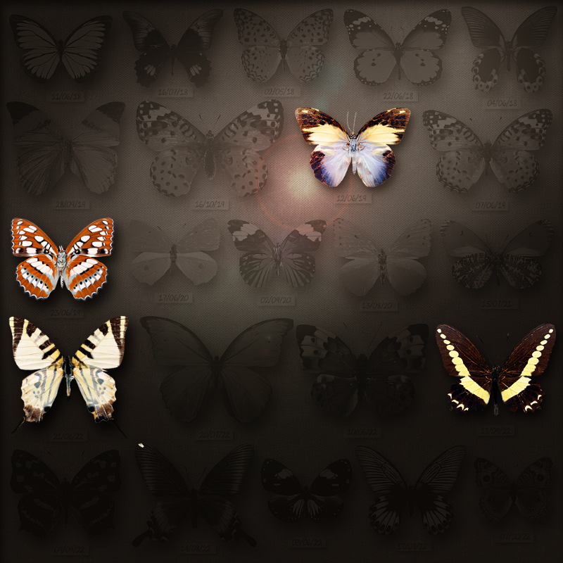 Save Butterfly World #26 static token preview