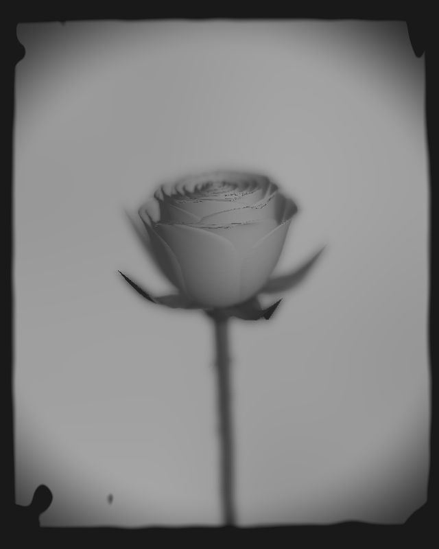 Rose 1851 #96 static token preview