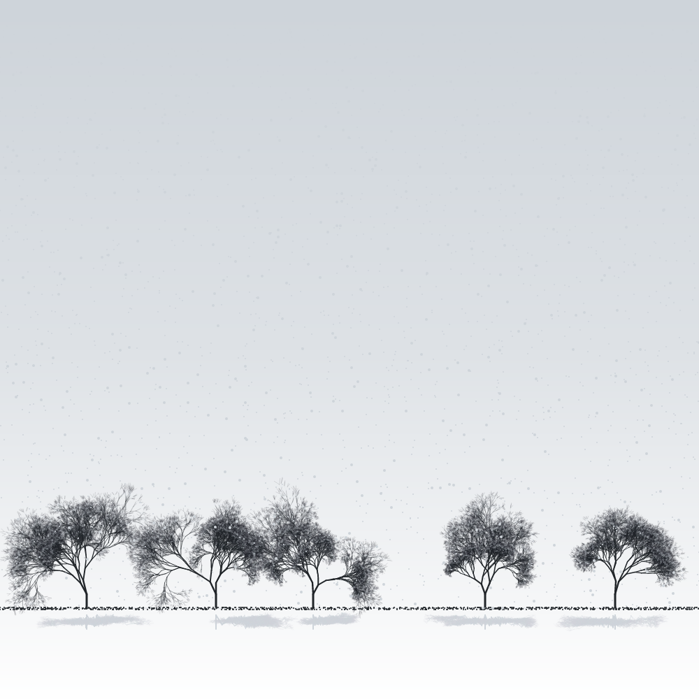 Sakuras in the snow #10 static token preview