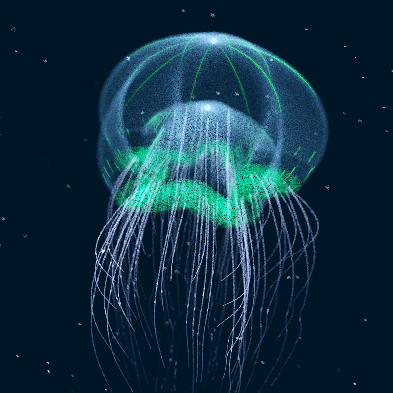 Creatures of the Deep #1 - The Jellyfish #9 static token preview