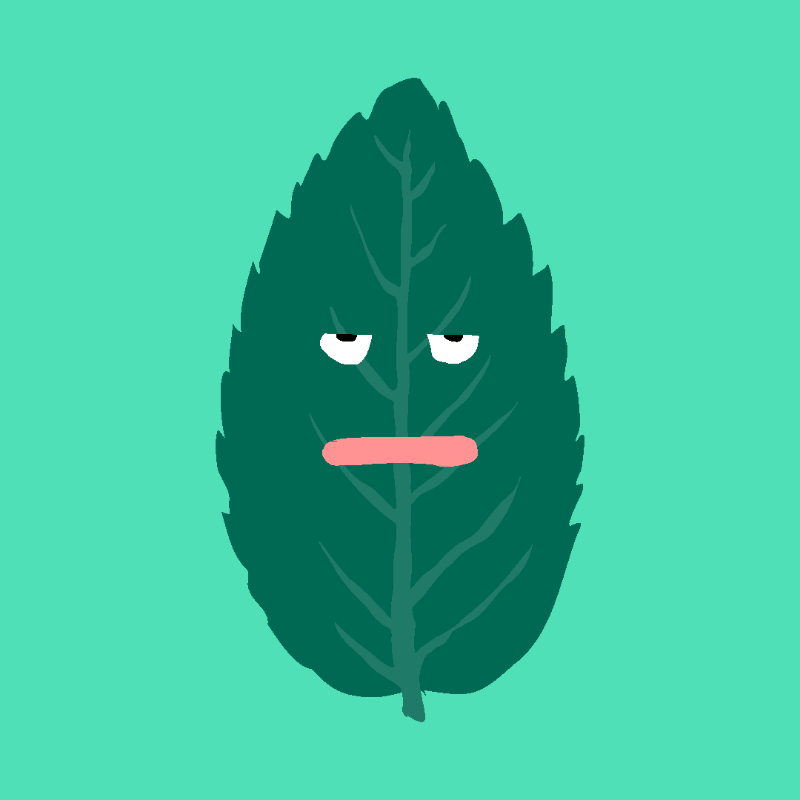 FREE MINT ! #24 static token preview