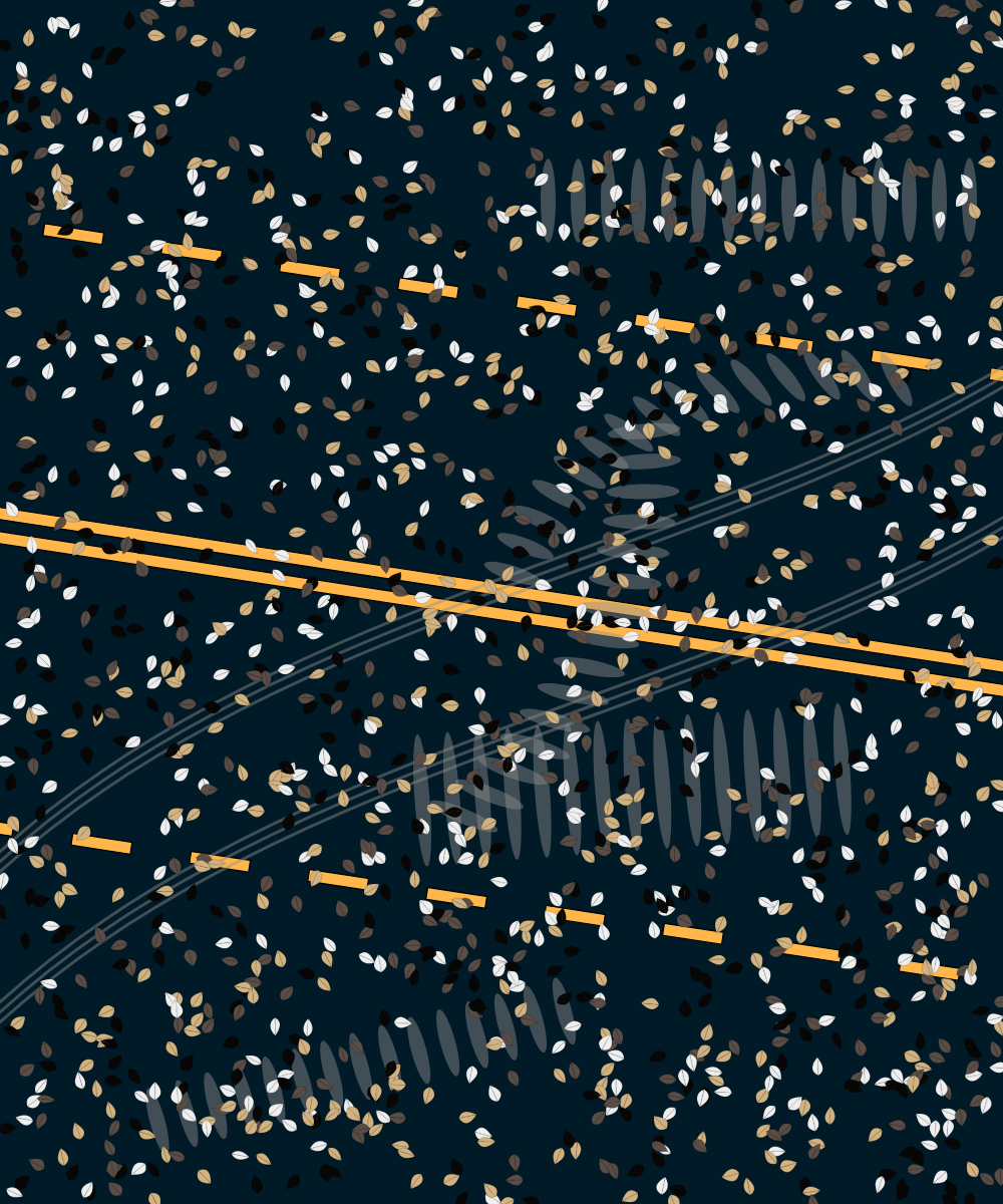Road #3 static token preview