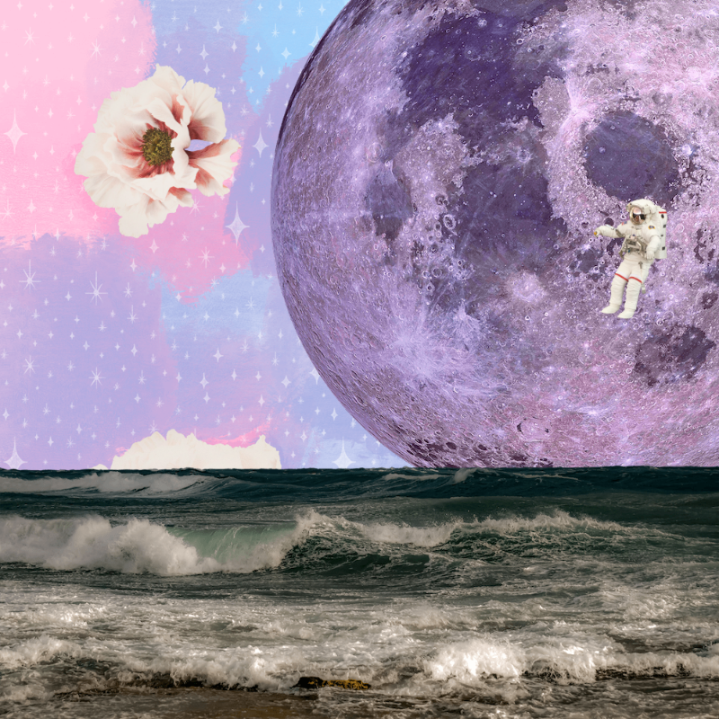 Pink Moon #4 static token preview