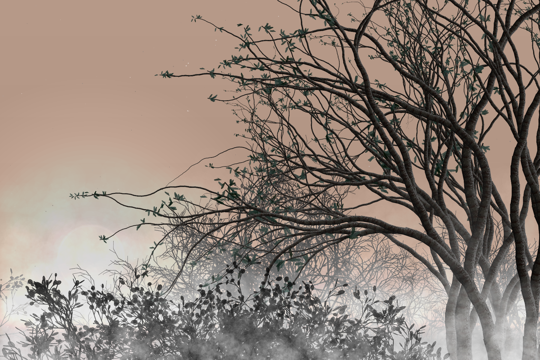 Morning Mist #16 static token preview
