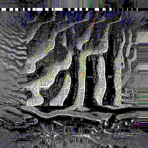nearest neighbor - genesis project preview