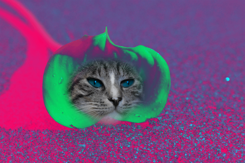Flowering Cat #11 static token preview