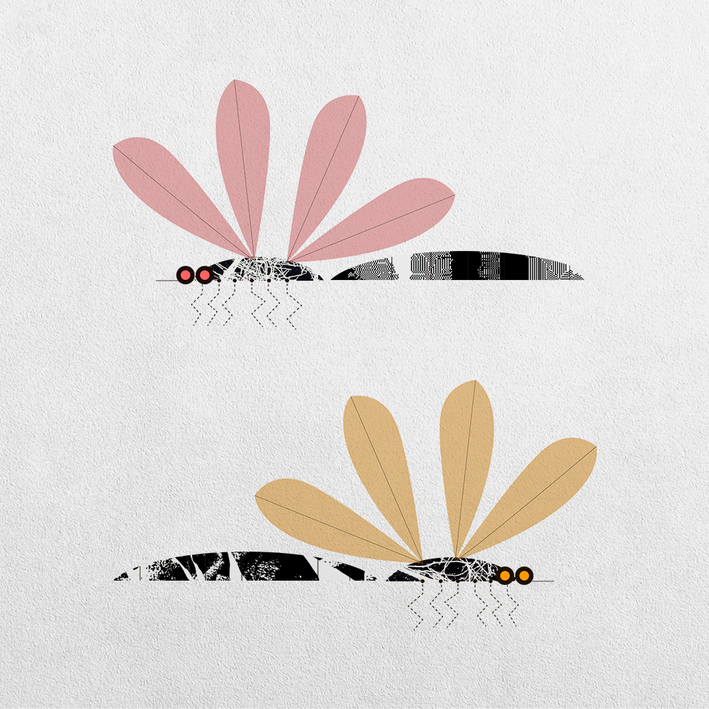 Mosquito Abstraction #14 static token preview