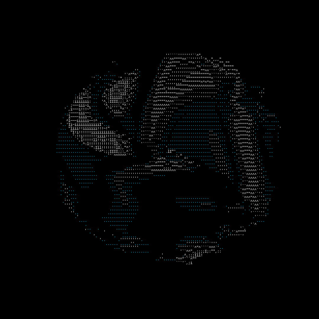 parts of us - ascii #3 static token preview
