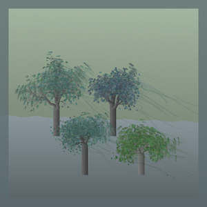 Ancient Trees I. Portraits project preview