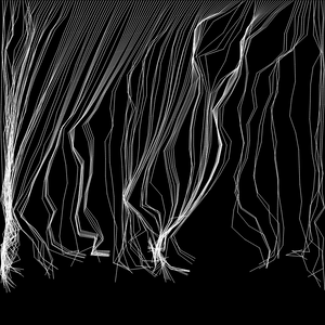 Lianas project preview