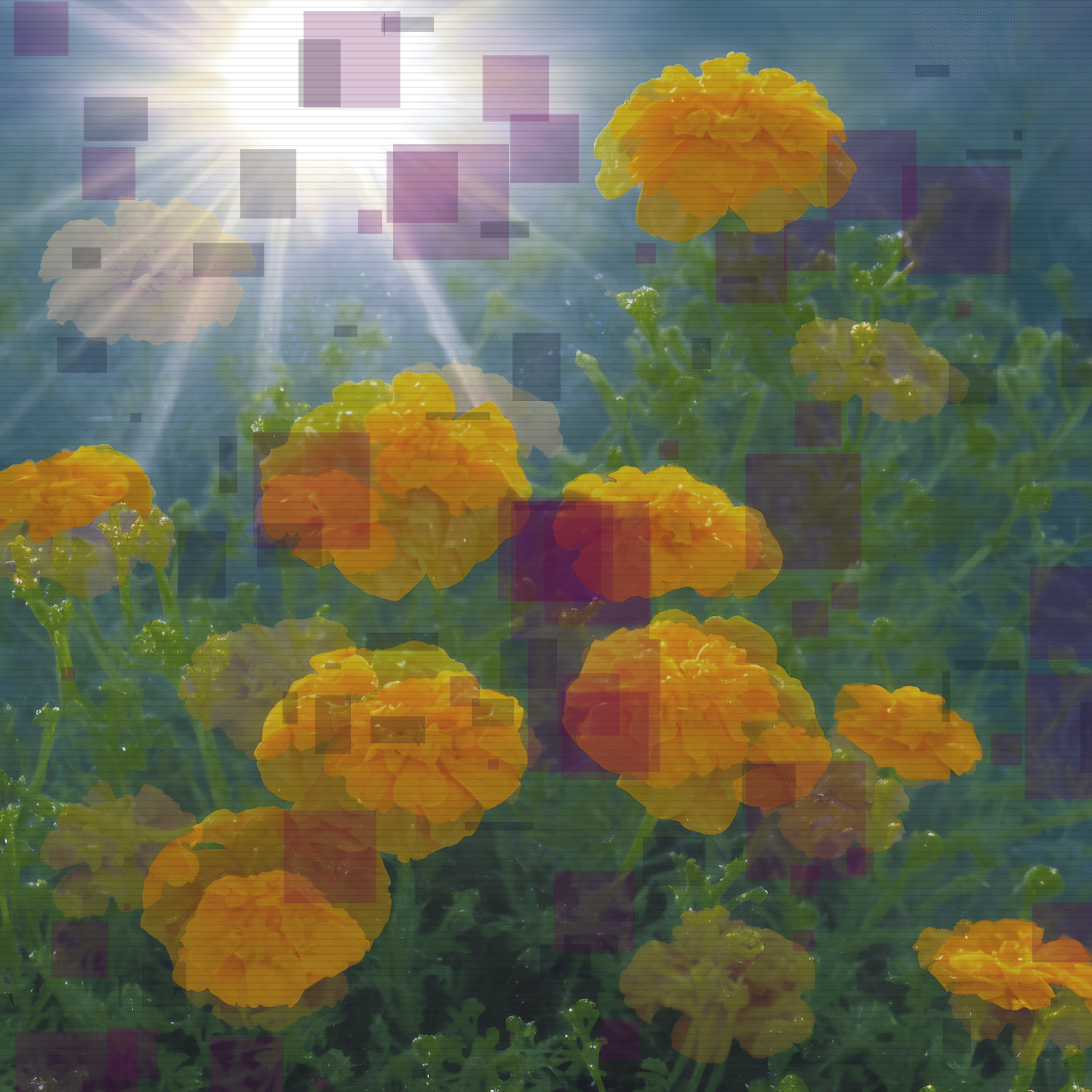 Marigolds #9 static token preview