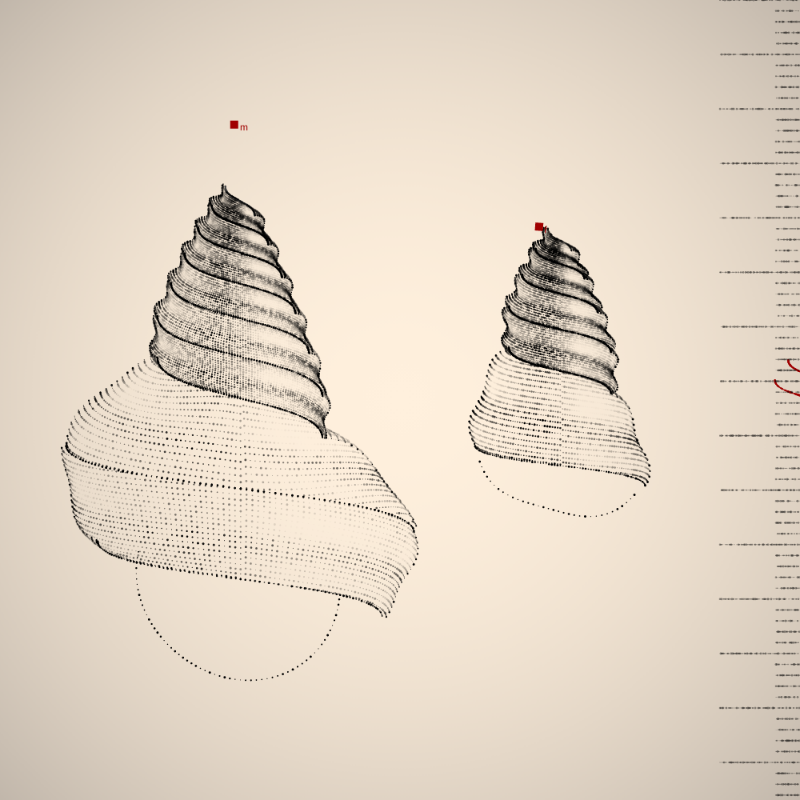 Two Specimen #10 static token preview