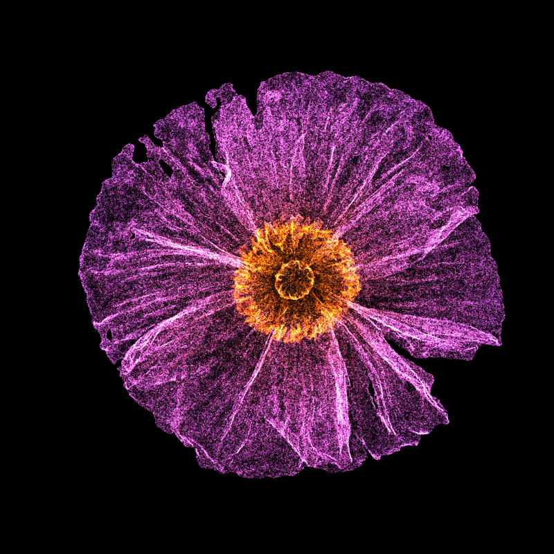 White Poppy 30 #4 static token preview