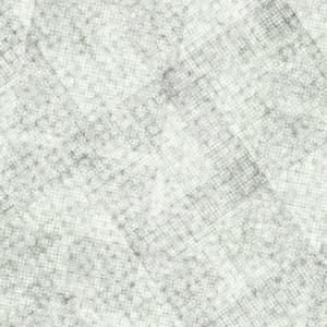 Fragile Tendence project preview