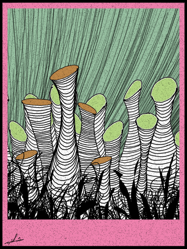 Play with lines #zentangle #5 static token preview