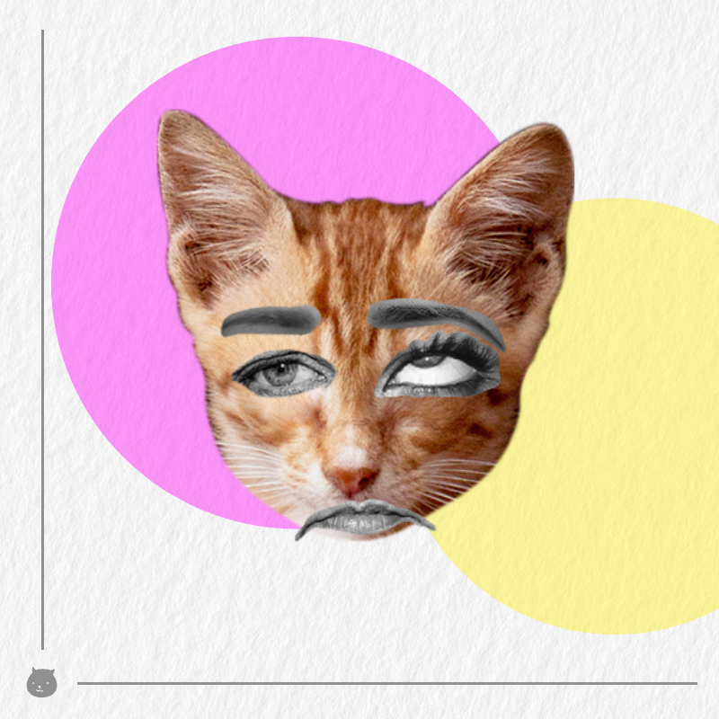 Kittenstein #20 static token preview