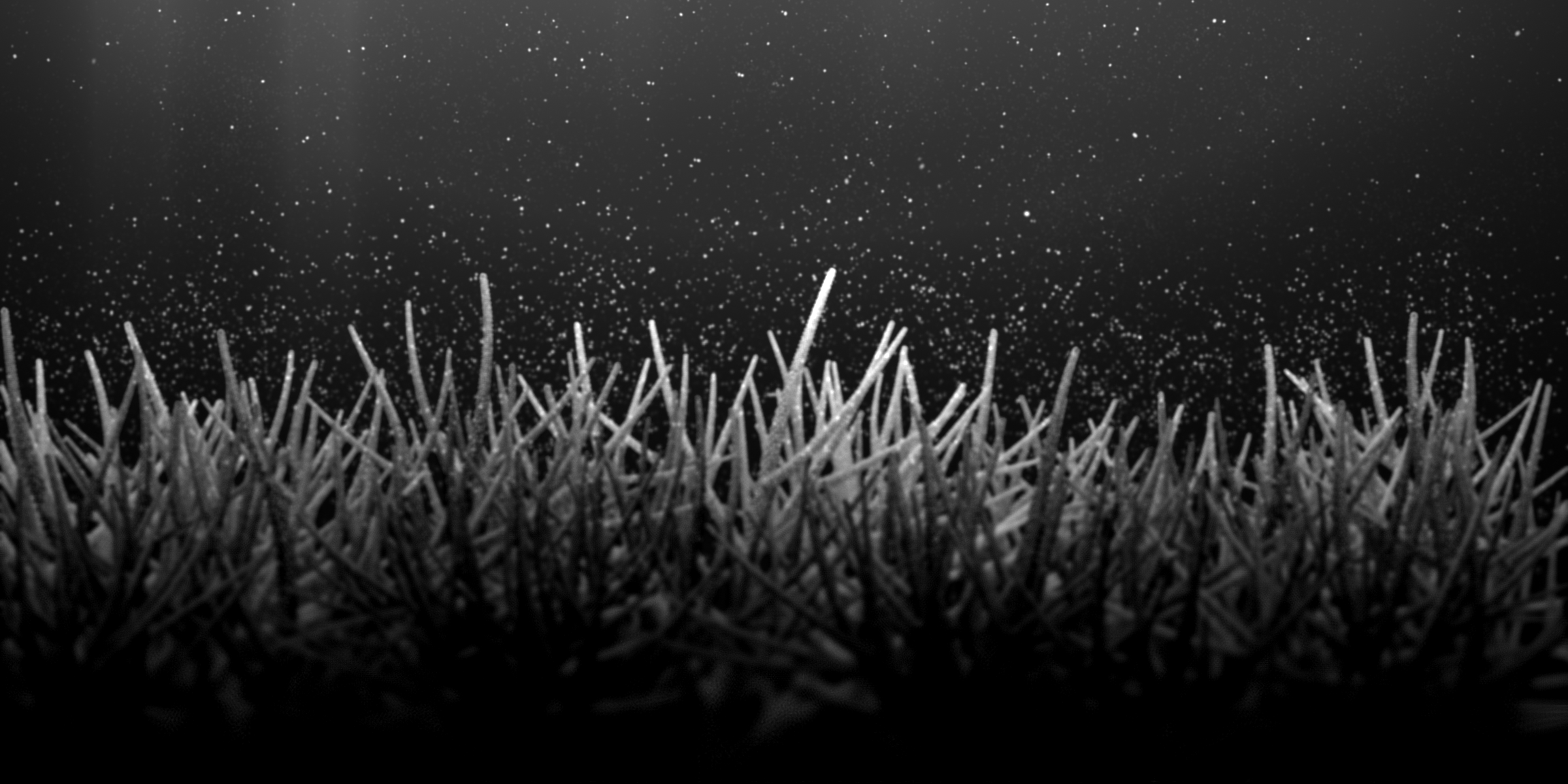 The Restoration Scheme: The Birth #23 static token preview