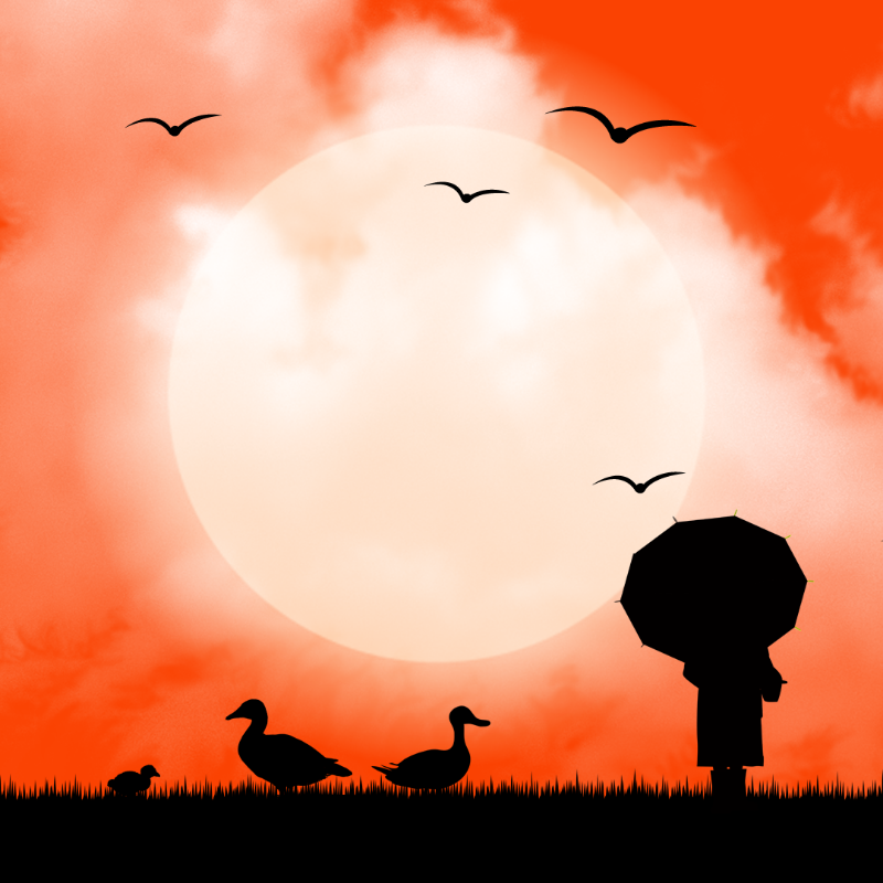 We Care...Duck #7 static token preview