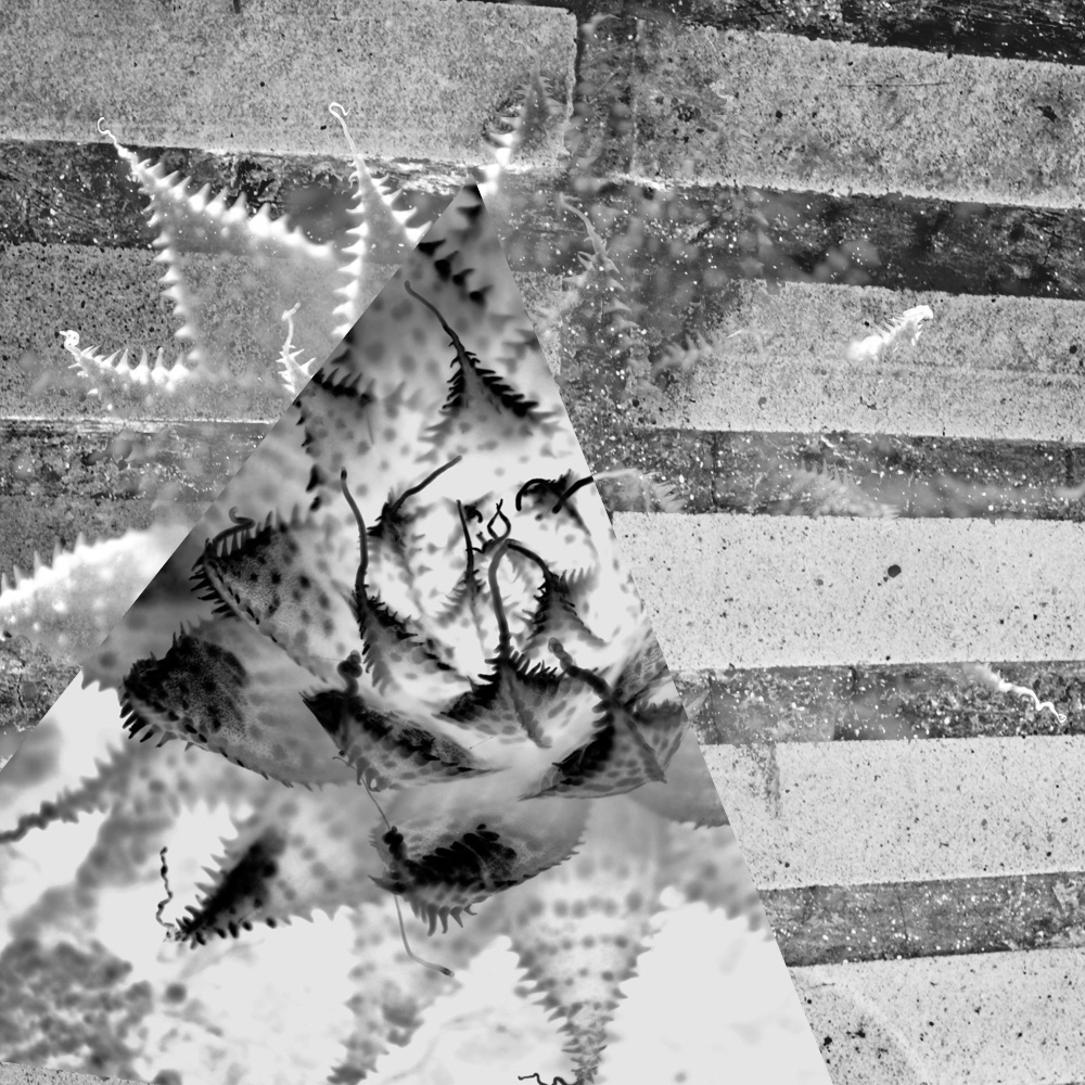 Subjective photography #1 #1 static token preview