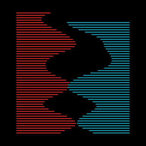 Poly surge project preview