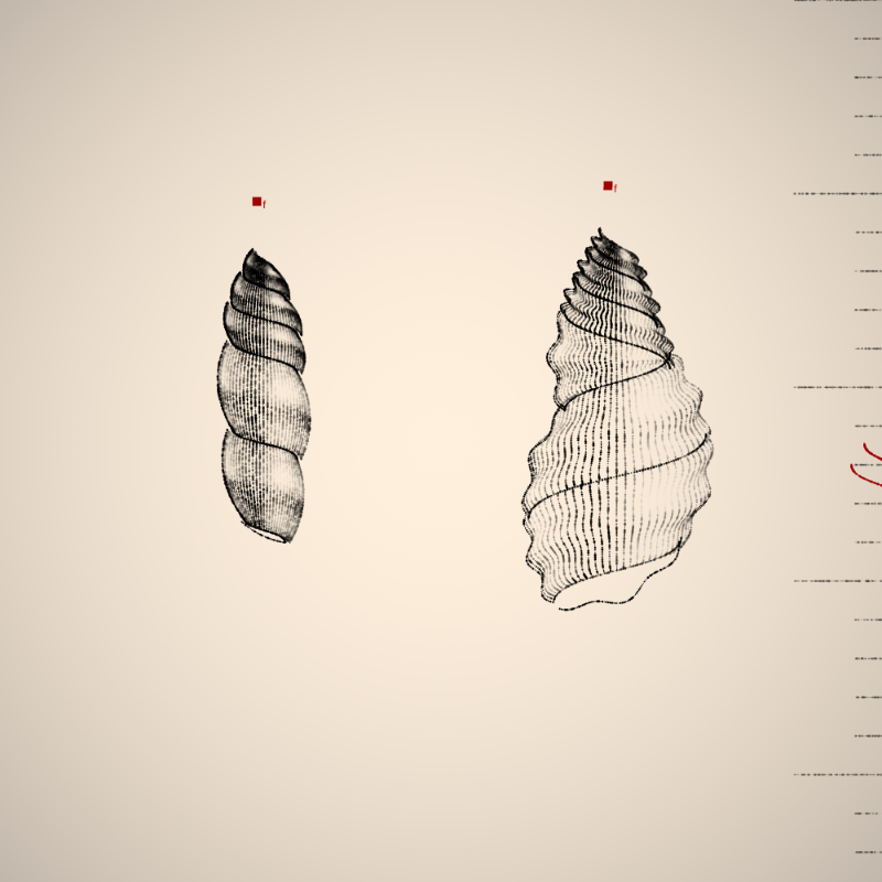Two Specimen #13 static token preview