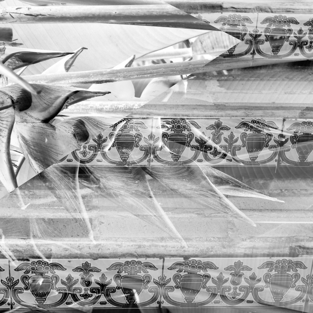 Subjective photography #1 #8 static token preview