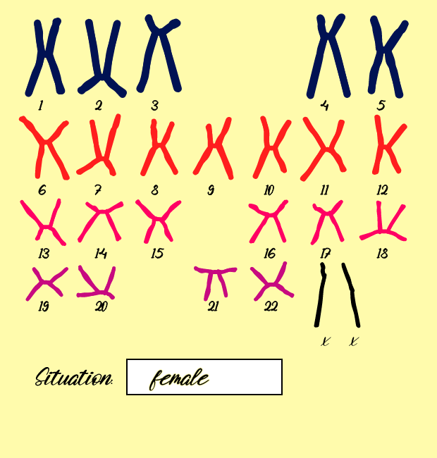 "Karyotype" #2 static token preview