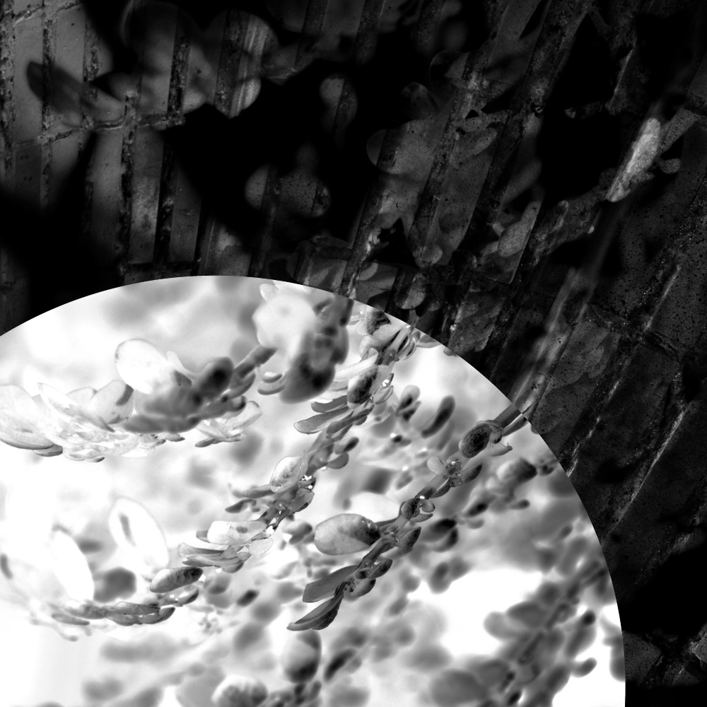 Subjective photography #1 #18 static token preview